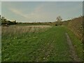 Footpath to Pix Brook