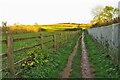 Footpath down to the Pix Brook