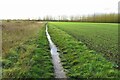 Muddy bridleway to Arlesley