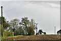 Tillingham: Harvested field