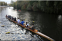 TL4659 : An eight on the River Cam by Chris Allen