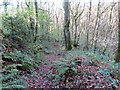 Llwybr i Afon  Nenog / Path to Afon Nenog