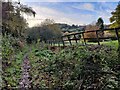 Path descending into Habberley Valley