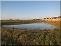 Pond by Linden site, Northstowe