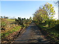 Bowbridge Lane near to Ainderby Miers