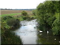 The River Great Ouse, Stafford Bridge