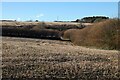 Farmland, Kenwyn