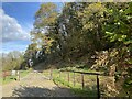 Gateway to Graig Ddu woods