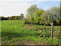 Public footpath near Great Dunmow