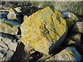 Lichen-covered boulders