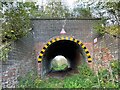 Accommodation Bridge off Washingborough Road