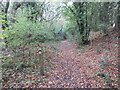 Public footpath near Great Dunmow