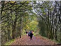 Runners on Monsal Trail parkrun