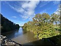 Afon Cothi from Pont Llandeilo Yr Ynys