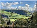 Carmarthenshire fields