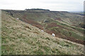 SK0192 : Coombes Edge by Bill Boaden