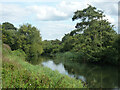 River Mole looking downstream