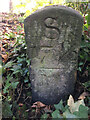 Canal Milestone, Belfield