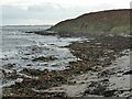 NU2612 : Plenty of seaweed at Seaton Point by Russel Wills