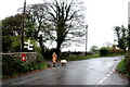 Wet Saturday Dog Walking near Withybrook