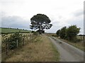 Road on Edenhope Hill