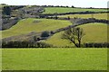 SW7333 : Farmland, Stithians by Andrew Smith
