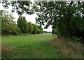 Grazing off Main Road