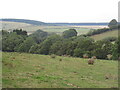 Field above Folly Brook