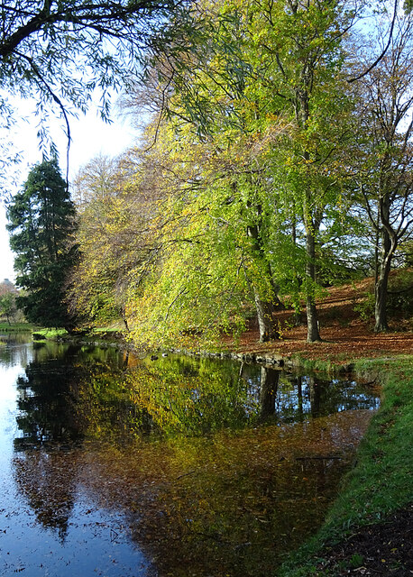 Autumn on the Way © Anne Burgess :: Geograph Britain and Ireland