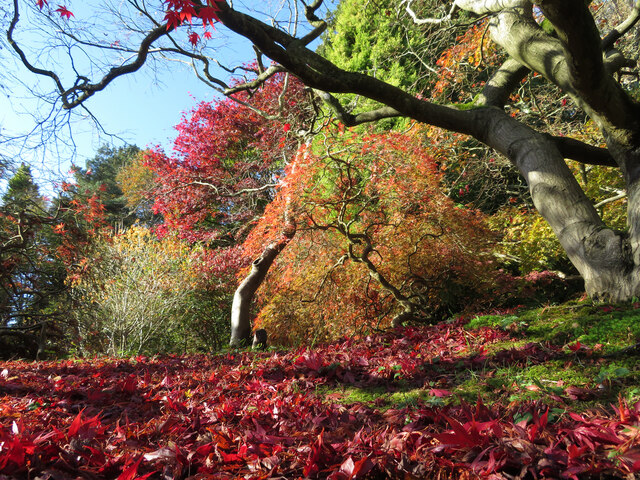 Autumn colours at Standen House