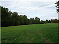 Grazing and woodland near Hinwick House