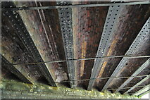 TM5493 : The underside of the Rotterdam Road bridge by Adrian S Pye