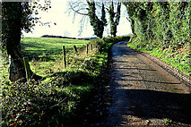 H4167 : Blacksessiagh Road, Blacksessagh by Kenneth  Allen