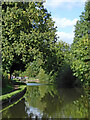 Canal approaching Filance Lock in Penkridge, Staffordshire