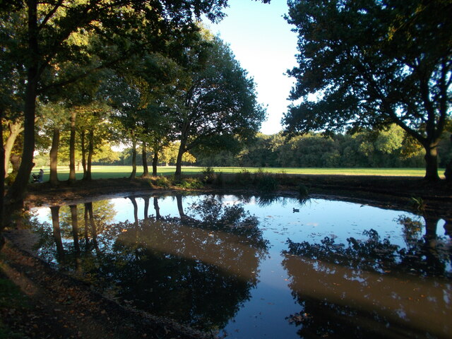 Pond next to Limes Avenue, Trent Country Park