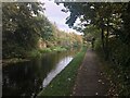 Chesterfield Canal and towpath