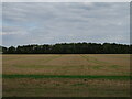 Stubble field off Highfield Road