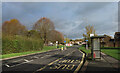 White Edge Moor Bus Stop