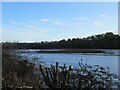 Castle Island Nature Reserve on the River Wansbeck