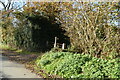 Footpath off Hawkhurst Lane