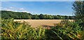 Arable farmland near to Aingers Green