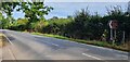 The road to Stour Estuary Nature Reserve