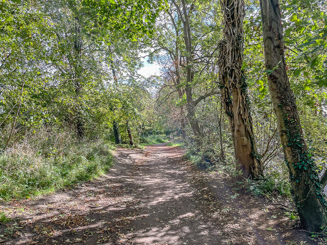 Alongside The River Wandle Ian Capper Cc By Sa 2 0 Geograph   7338406 3af1ccf0 