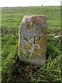 ST7898 : Boundary Marker, Uley Bury by Mr Red