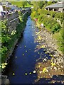 Swindale Beck, Brough