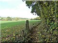 Stone gatepost