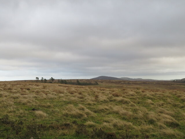 Moorland near Sting Law