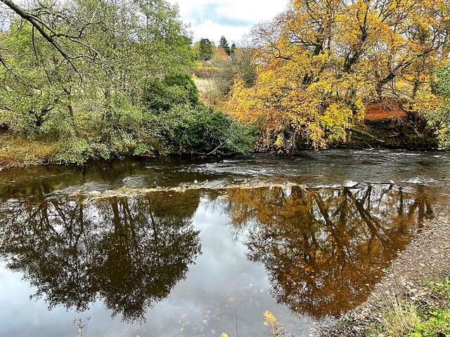 Autumn trees reflected in the River Derwent