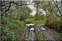 H5371 : Mucky lane, Bancran by Kenneth  Allen