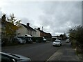 An autumn afternoon in Brighton Road